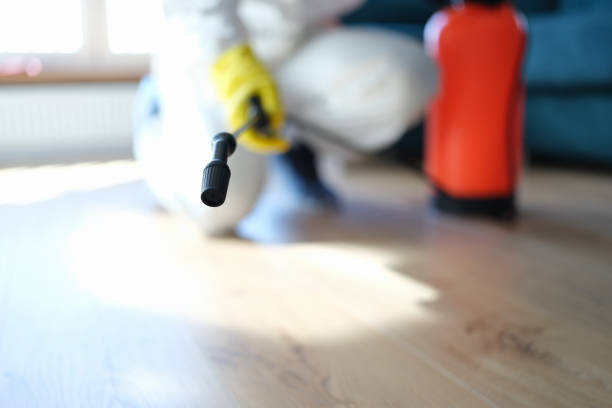 Best Mold Remediation for Healthcare Facilities  in Canyon Lake, TX