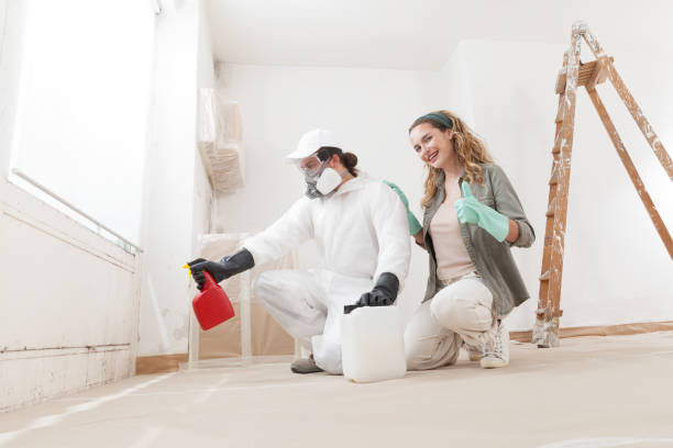 Best Mold-Related Health Consultation  in Canyon Lake, TX