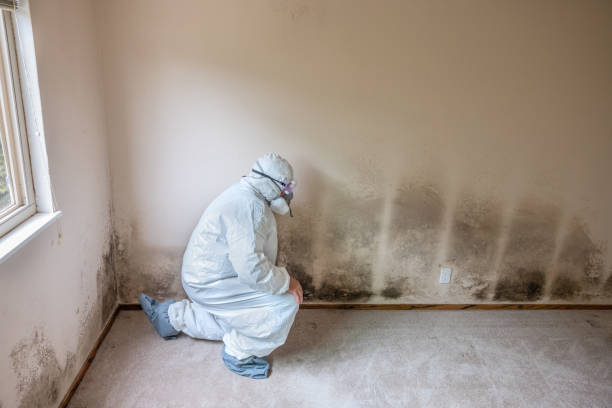 Mold Removal for HVAC Installations in Canyon Lake, TX